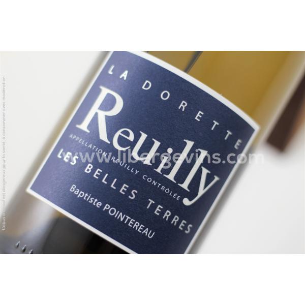 DOMAINE DE LA PAGERIE - REUILLY AOP BLANC - LES BELLES TERRES 2021