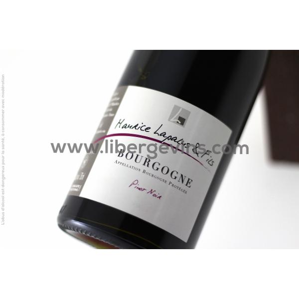 MAURICE LAPALUS & FILS - BOURGOGNE AOP - PINOT NOIR 2022