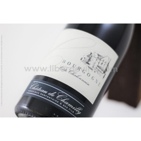 CHATEAU DE CHAMILLY - BOURGOGNE CÔTE CHALONNAISE AOP 2022