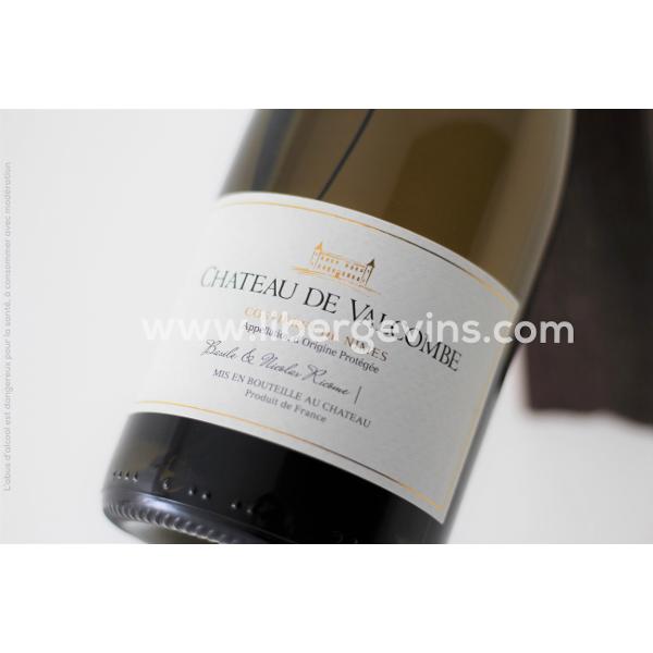 CHATEAU DE VALCOMBE - COSTIERES DE NIMES AOP BLANC 2023 BIO